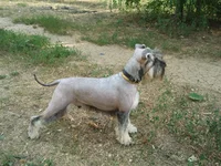 2012-07-15 18.18.39.webp