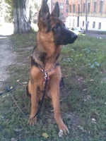 008.webp