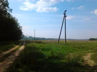 0250.webp