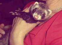 OLK0qxh25J8 (1).webp