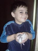  003.webp