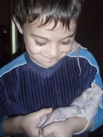  004.webp