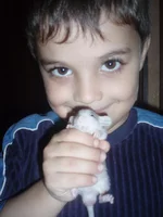  009.webp