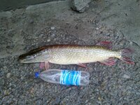 14102012148.jpg
