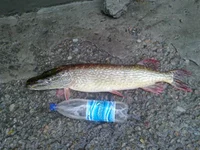 14102012148.webp