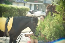 PICT7637.webp