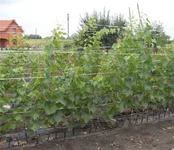 8dbca9bc0447.jpg