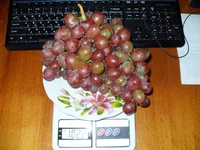 e336186b01d9.jpg