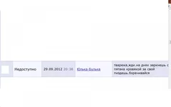 4.webp