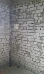 1350106297497.webp