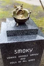 смоки5.jpg