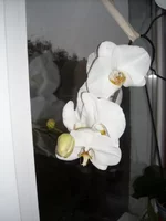 DSCN2138.webp