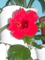 DSCN2120.JPG