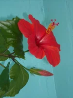 DSCN2513.JPG