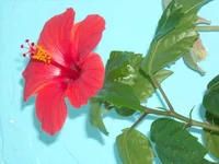 DSCN2514.JPG