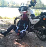 IMAG1808.webp