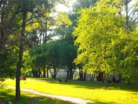 ff39fade3658.webp