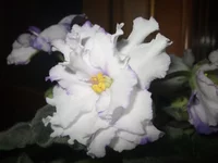  продажа 044.webp