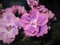  продажа 035.webp