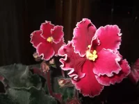  продажа 034.webp