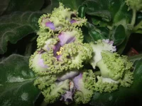  продажа 031.webp