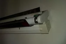 IMAG0465.webp