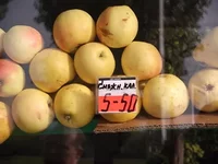 DSCF0443.webp