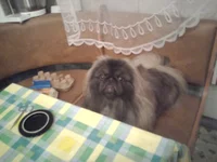 0282.webp