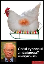 .webp