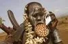 avatar111712_2.webp
