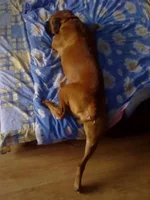 15062011210.jpg