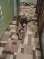 26062011218.jpg