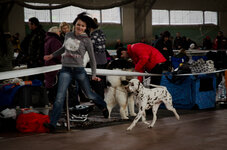 20120121-MVV_9151.jpg