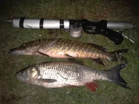 2012-10-17 21.15.39.webp