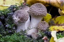 IMG_5430_1.webp