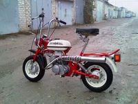 IMAG0214.webp