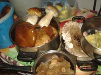 008.webp