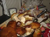 014.webp