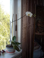 DSCN0086.JPG