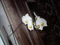 DSCN2094.JPG