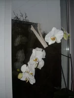 DSCN2139.JPG