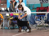 IMG_6779.webp