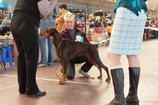 IMG_6794.webp