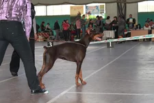 IMG_6881.jpg