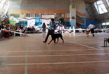 IMG_6867.jpg