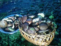 PIC-0111.jpg