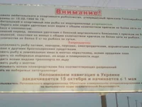 -0028.webp
