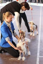 IMG_3681s.jpg