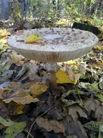 2012-10-20-0017.webp