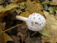 2012-10-20-0020.webp